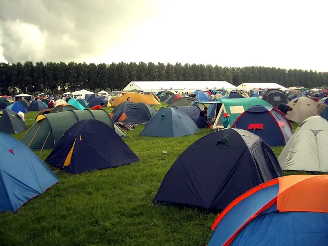 Tents pitched in a festival campground field